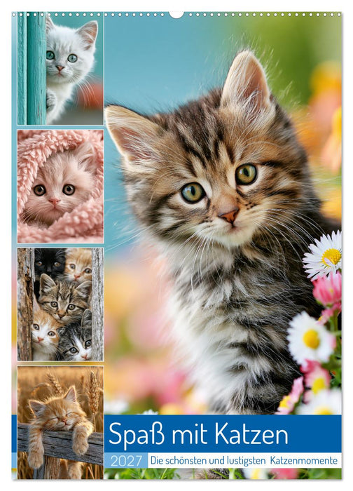 Spaß mit Katzen (CALVENDO Wandkalender 2027)