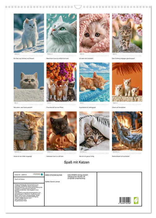 Spaß mit Katzen (CALVENDO Wandkalender 2027)