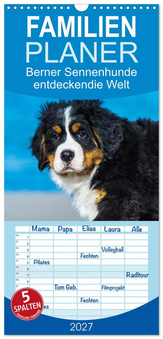 Seebärchen entdecken die Welt - Berner Sennenhunde (CALVENDO Familienplaner 2027)