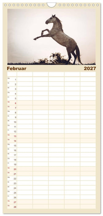 Spiegel deiner Seele (CALVENDO Familienplaner 2027)