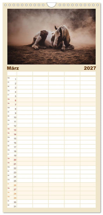 Spiegel deiner Seele (CALVENDO Familienplaner 2027)