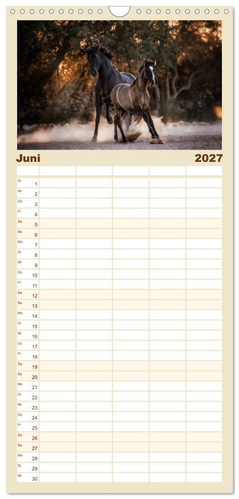 Spiegel deiner Seele (CALVENDO Familienplaner 2027)