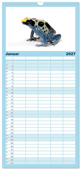 Farbenpracht der Frösche (CALVENDO Familienplaner 2027)