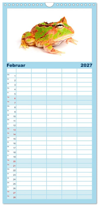 Farbenpracht der Frösche (CALVENDO Familienplaner 2027)