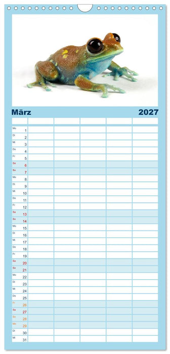 Farbenpracht der Frösche (CALVENDO Familienplaner 2027)