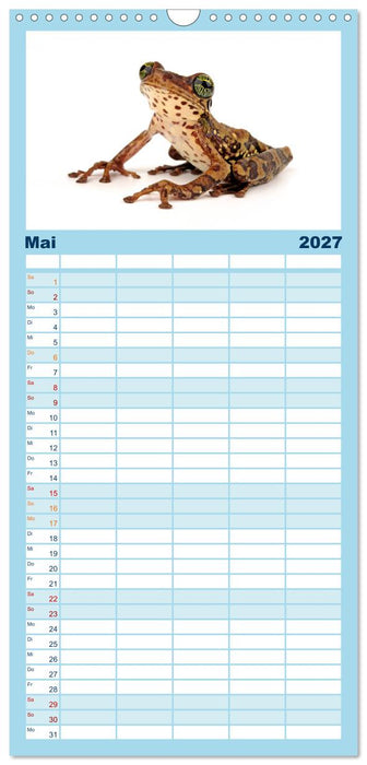Farbenpracht der Frösche (CALVENDO Familienplaner 2027)