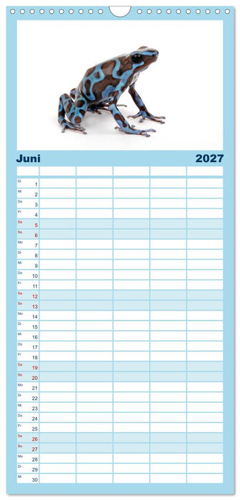 Farbenpracht der Frösche (CALVENDO Familienplaner 2027)