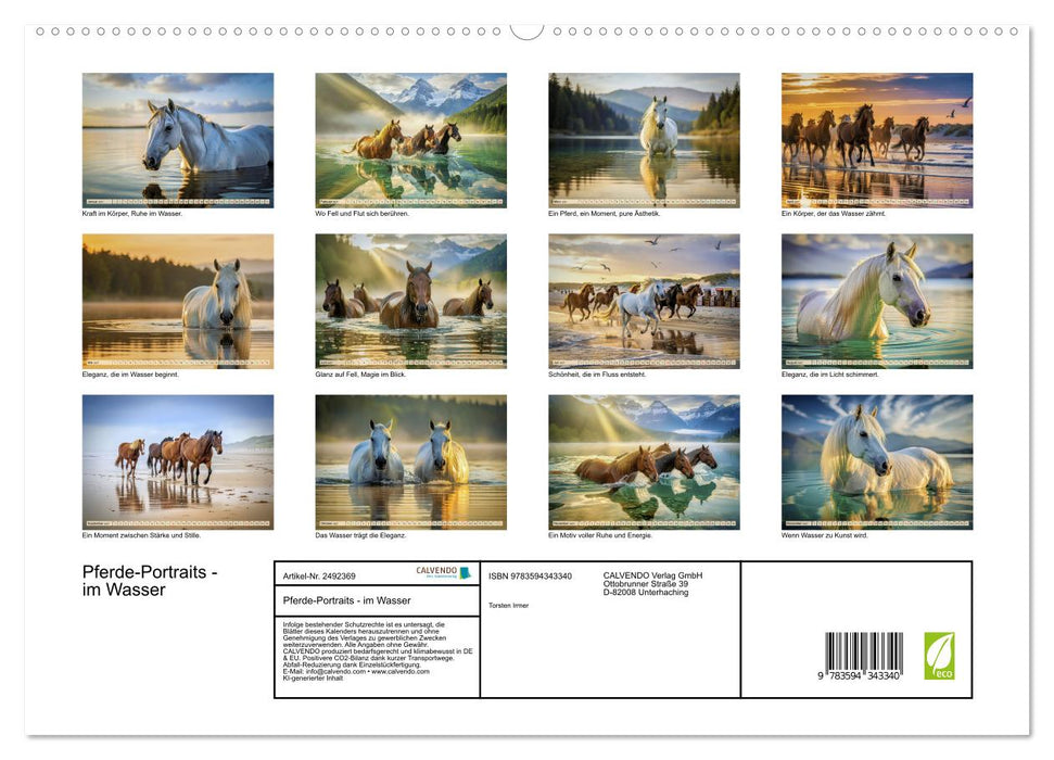 Pferde-Portraits - im Wasser (CALVENDO Premium Wandkalender 2027)