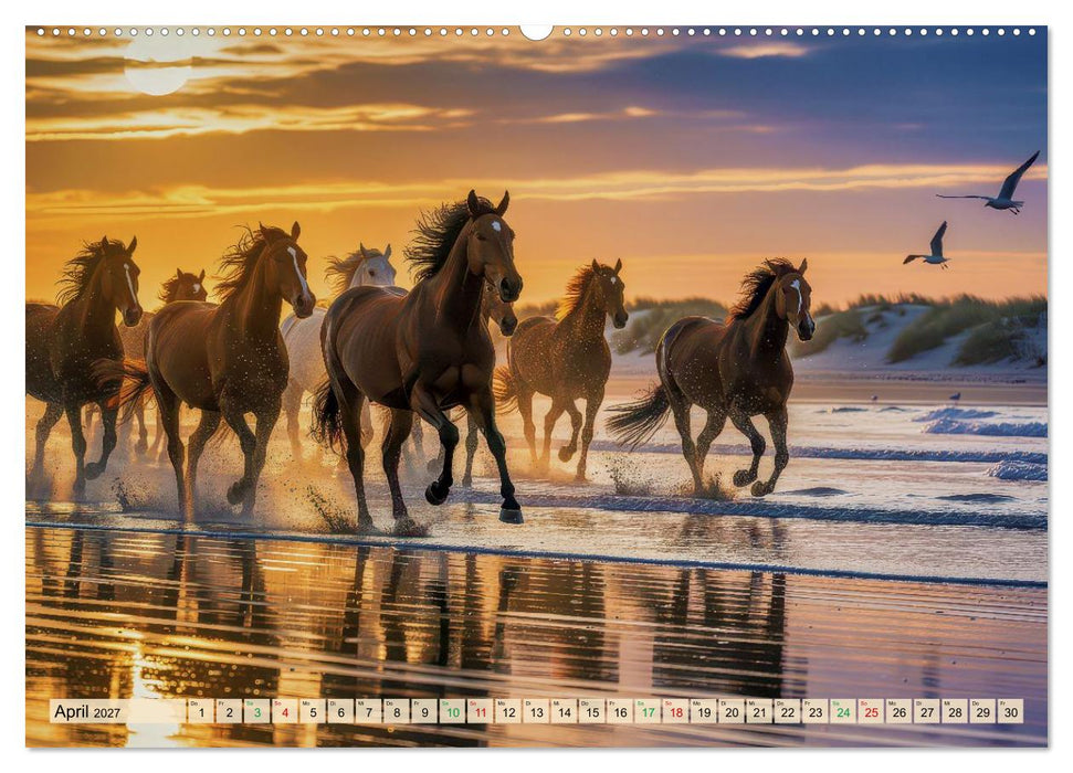 Pferde-Portraits - im Wasser (CALVENDO Premium Wandkalender 2027)