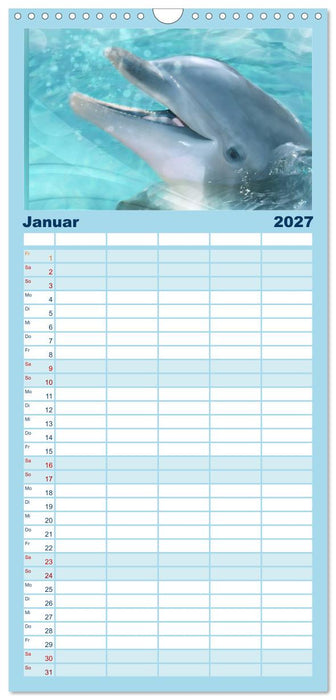 Delfine - Kalender (CALVENDO Familienplaner 2027)