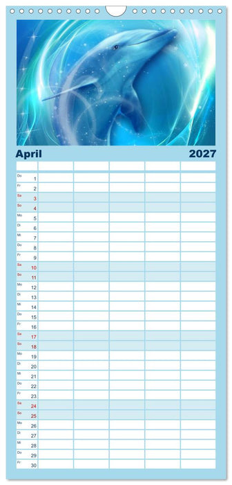 Delfine - Kalender (CALVENDO Familienplaner 2027)