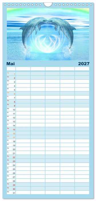 Delfine - Kalender (CALVENDO Familienplaner 2027)