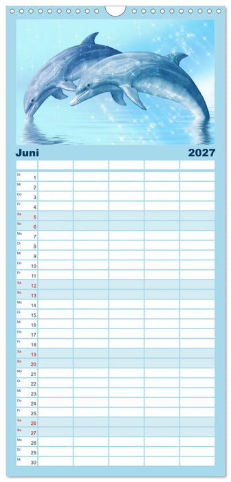 Delfine - Kalender (CALVENDO Familienplaner 2027)