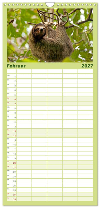 Costa Rica (CALVENDO Familienplaner 2027)