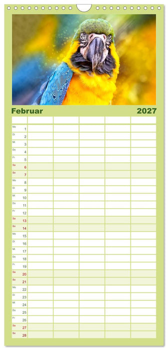 Mein bunter Papagei (CALVENDO Familienplaner 2027)