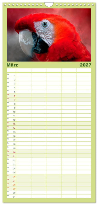 Mein bunter Papagei (CALVENDO Familienplaner 2027)