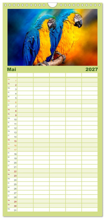 Mein bunter Papagei (CALVENDO Familienplaner 2027)