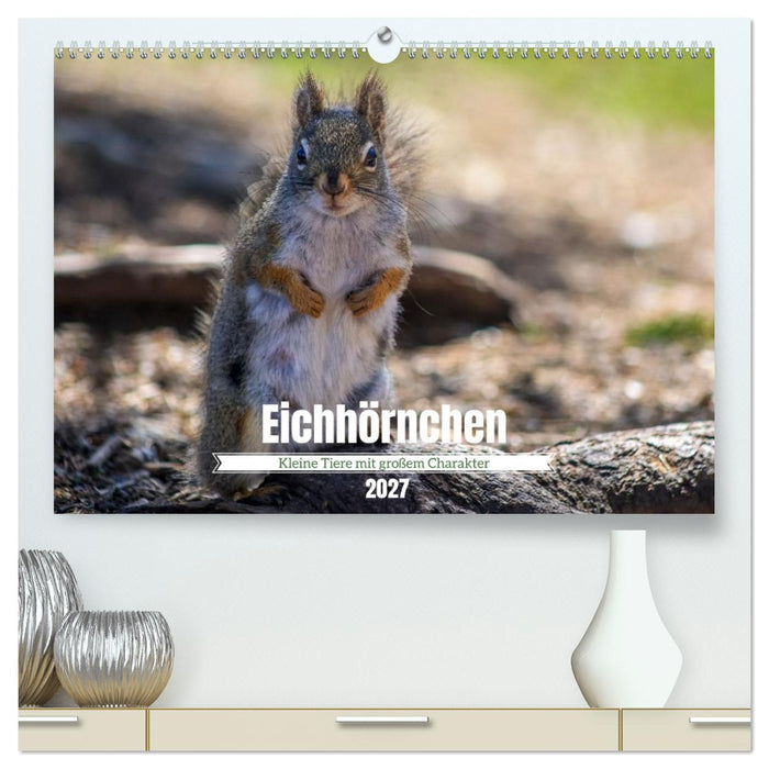 Eichhörnchen - Kleine Tiere mit großem Charakter (CALVENDO Premium Wandkalender 2027)