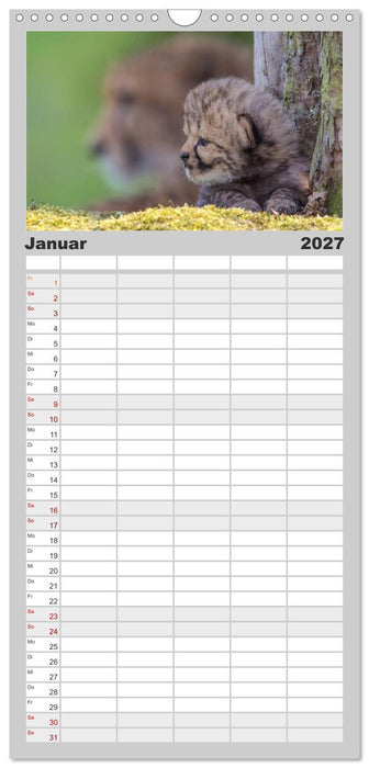 Raubkatzenkinder (CALVENDO Familienplaner 2027)