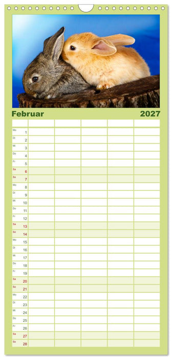 Lustige Kaninchen (CALVENDO Familienplaner 2027)