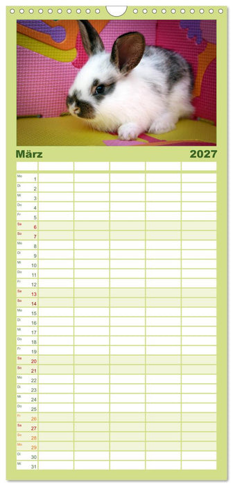 Lustige Kaninchen (CALVENDO Familienplaner 2027)