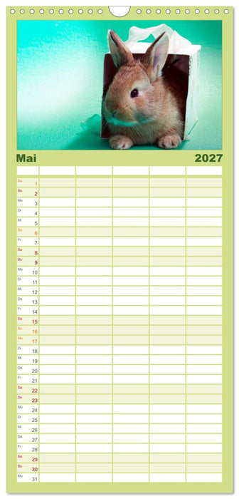 Lustige Kaninchen (CALVENDO Familienplaner 2027)