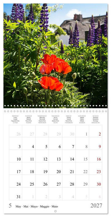 Explorer Amrum - Germany’s Hidden North Sea Island (CALVENDO Monthly Calendar 2027)