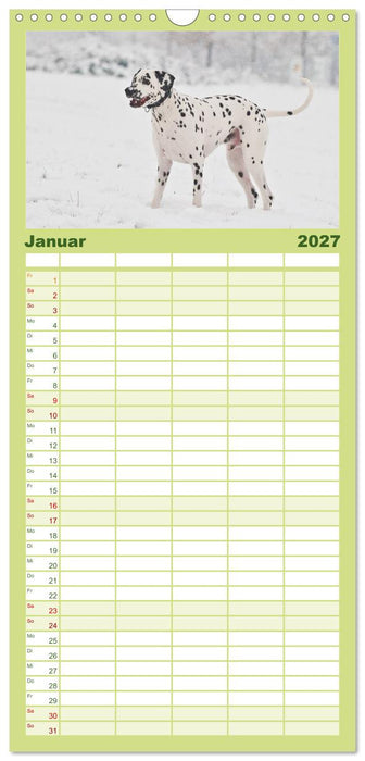 Auf den Punkt - Dalmatiner (CALVENDO Familienplaner 2027)