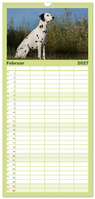 Auf den Punkt - Dalmatiner (CALVENDO Familienplaner 2027)