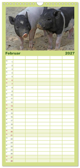 Schwein gehabt! (CALVENDO Familienplaner 2027)