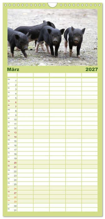 Schwein gehabt! (CALVENDO Familienplaner 2027)