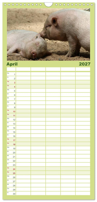 Schwein gehabt! (CALVENDO Familienplaner 2027)
