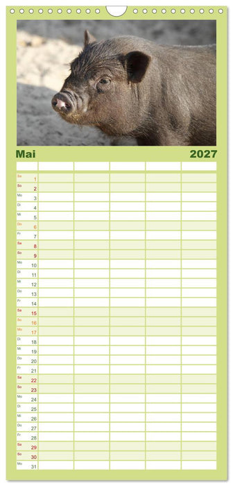 Schwein gehabt! (CALVENDO Familienplaner 2027)