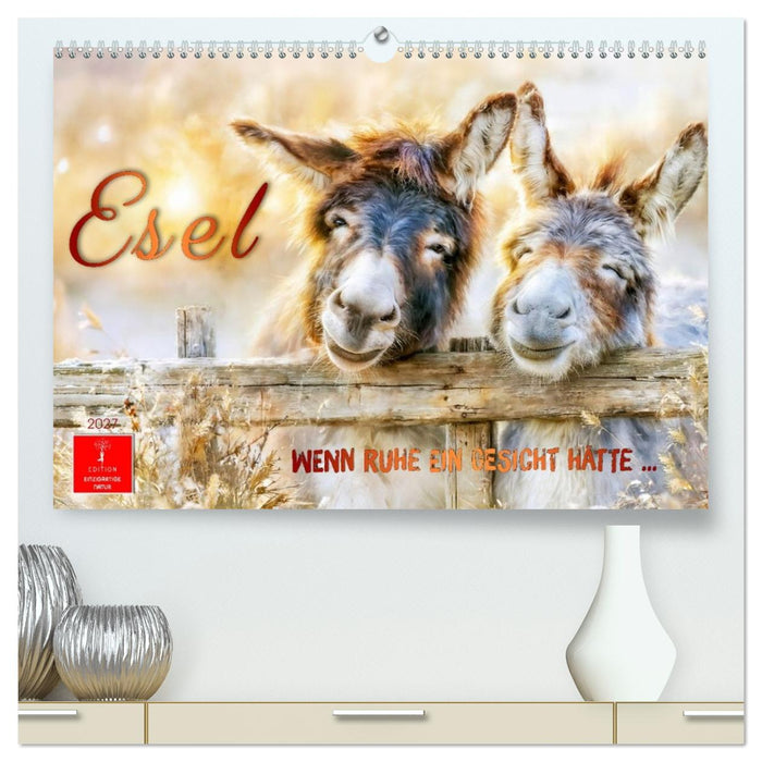 Esel - Wenn Ruhe ein Gesicht hätte (CALVENDO Premium Wandkalender 2027)