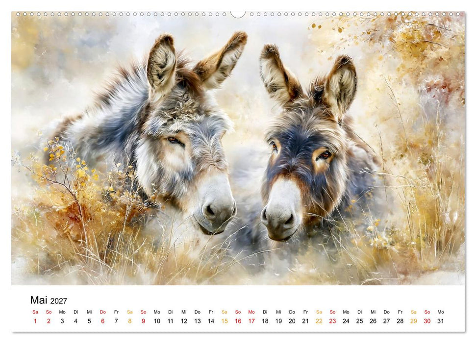Esel - Wenn Ruhe ein Gesicht hätte (CALVENDO Premium Wandkalender 2027)