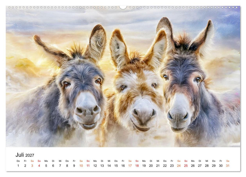 Esel - Wenn Ruhe ein Gesicht hätte (CALVENDO Premium Wandkalender 2027)