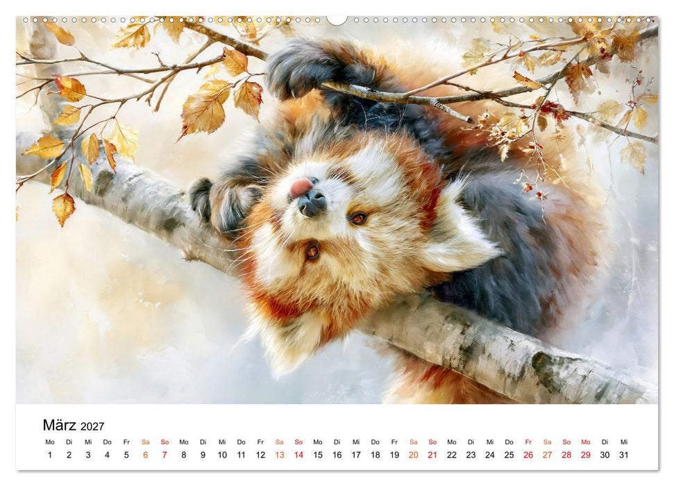 Roter Panda - Tierische Eleganz (CALVENDO Wandkalender 2027)