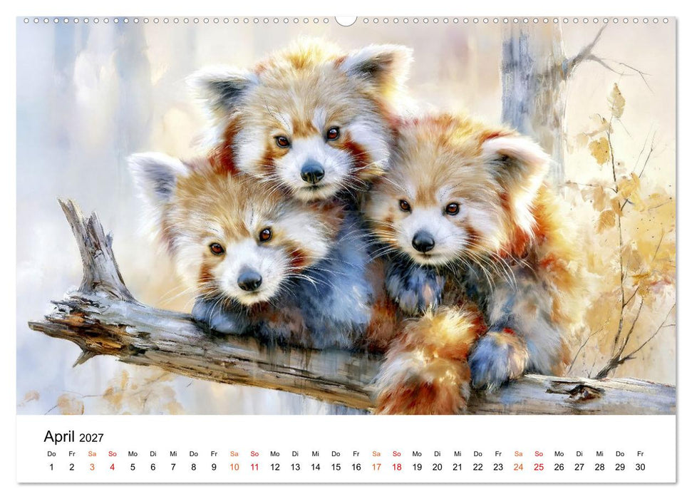 Roter Panda - Tierische Eleganz (CALVENDO Wandkalender 2027)