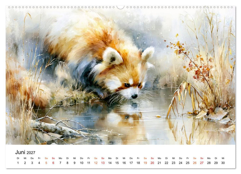 Roter Panda - Tierische Eleganz (CALVENDO Wandkalender 2027)