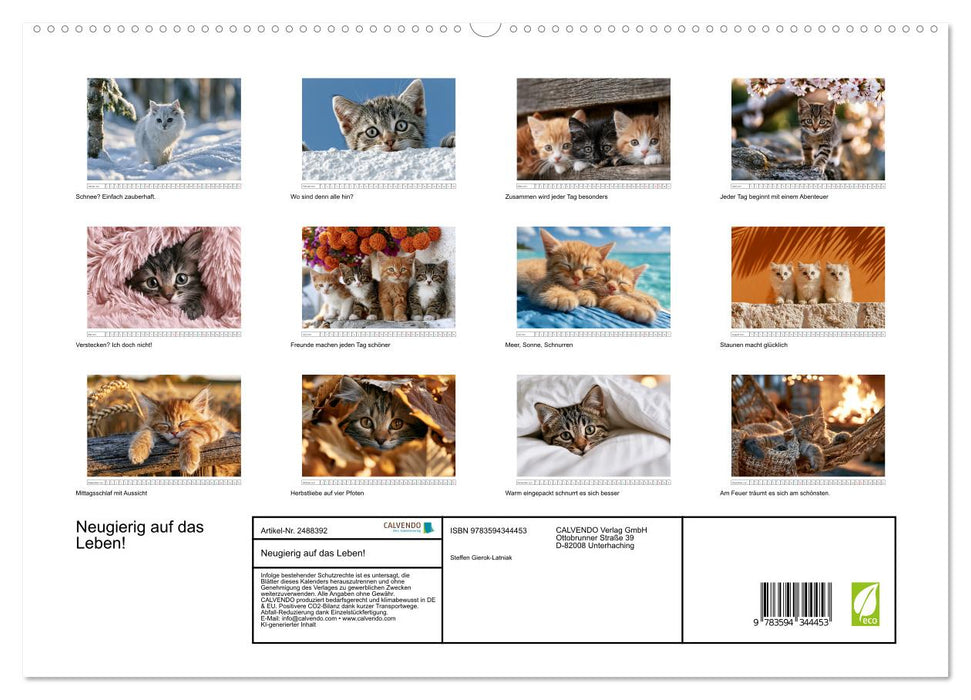 Neugierig auf das Leben! (CALVENDO Premium Wandkalender 2027)
