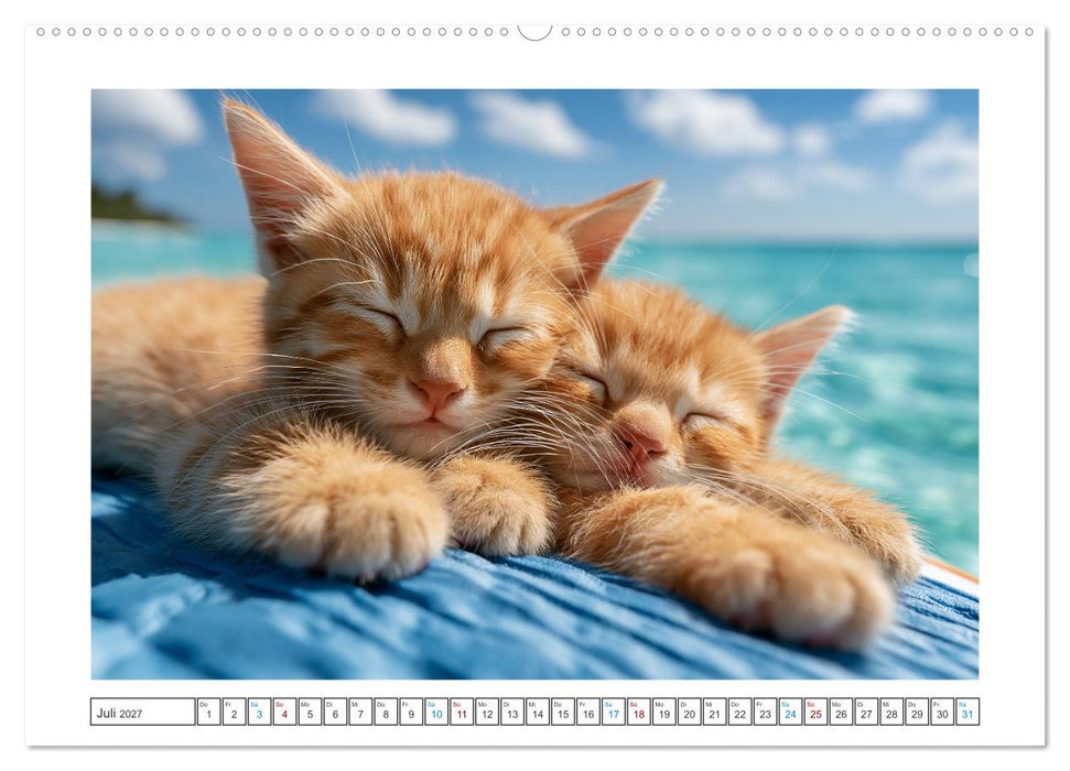 Neugierig auf das Leben! (CALVENDO Premium Wandkalender 2027)
