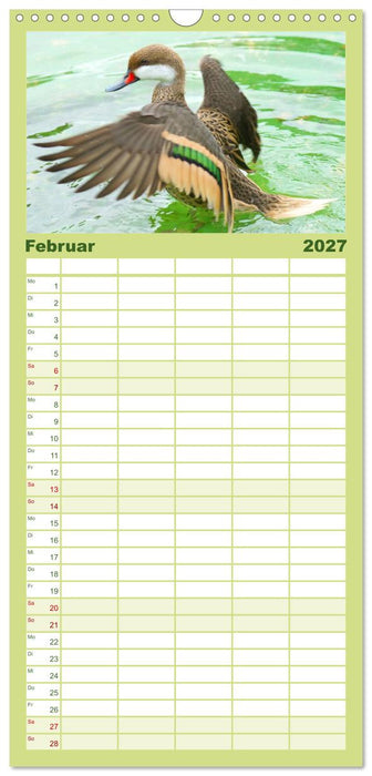 Duck Power (CALVENDO Familienplaner 2027)