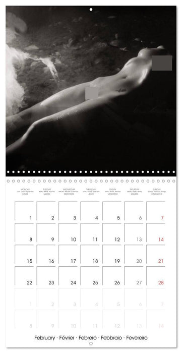 Magical Mystery Nudes (CALVENDO Monthly Calendar 2027)