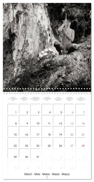 Magical Mystery Nudes (CALVENDO Monthly Calendar 2027)