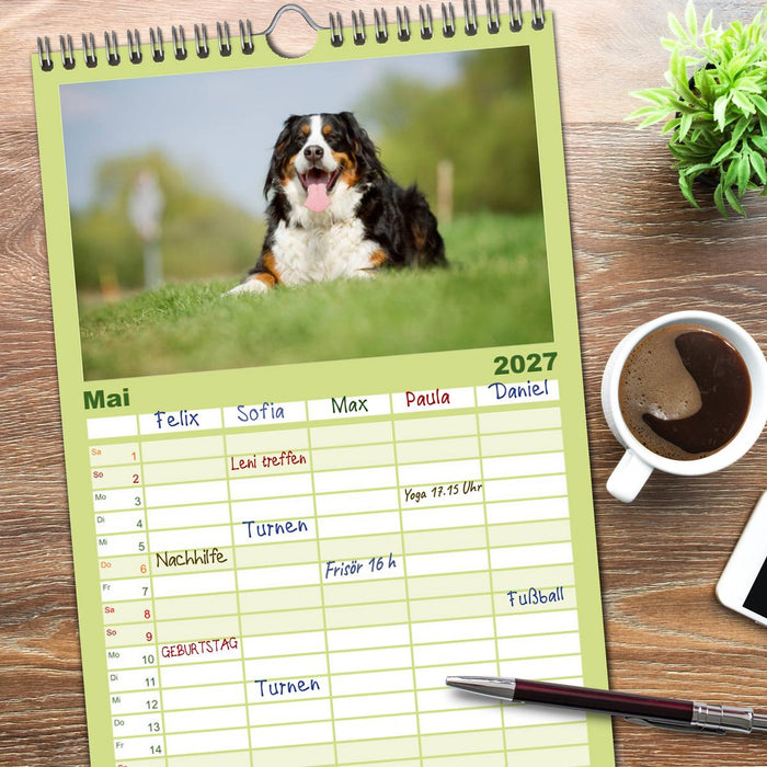 Berner Sennenhunde (CALVENDO Familienplaner 2027)