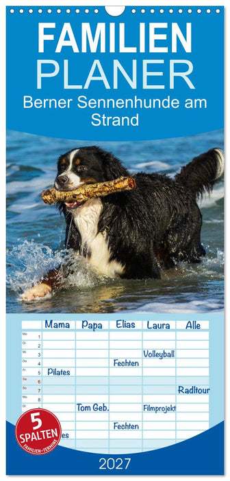 Berner Sennenhunde am Strand (CALVENDO Familienplaner 2027)