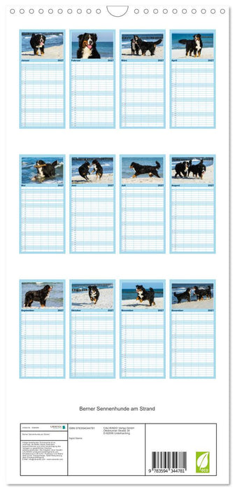 Berner Sennenhunde am Strand (CALVENDO Familienplaner 2027)