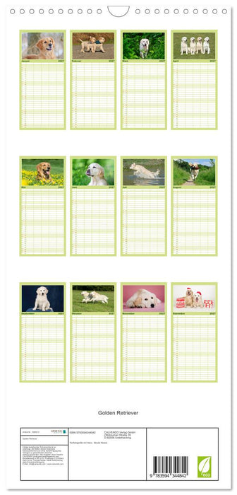 Golden Retriever (CALVENDO Familienplaner 2027)