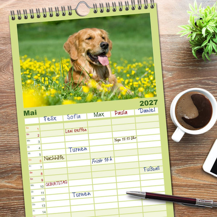Golden Retriever (CALVENDO Familienplaner 2027)