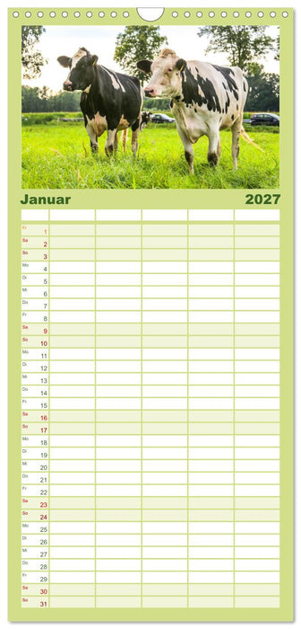 Sanfte Holsteiner (CALVENDO Familienplaner 2027)